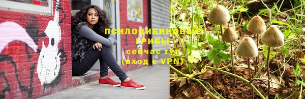 прущая мука Алексин