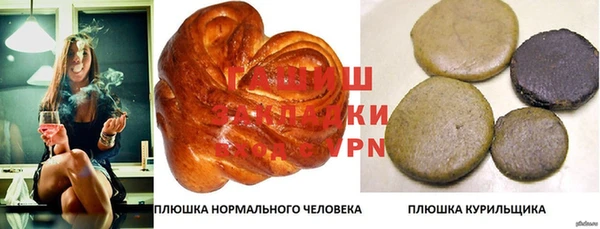 гидропоника Алзамай