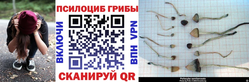 Галлюциногенные грибы прущие грибы Сорочинск